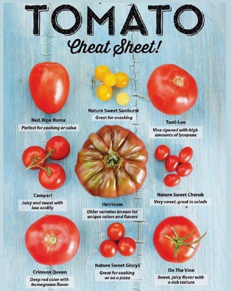 Tomato Cheat Sheet