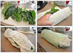 How-to-preserve-leafy-produce-such-as-Mint-Basil-etc.