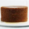 A tall, round chocolate cake on a white plate.