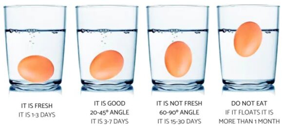 Four eggs drawn in four glasses of water