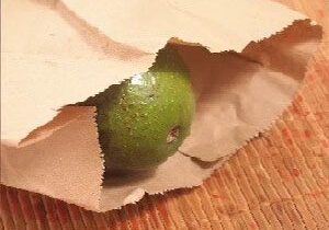 An avocado stored in a paper bag