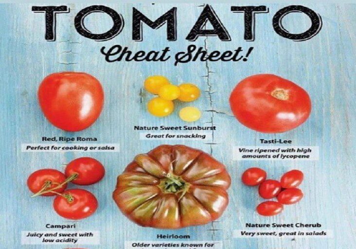 Tomato Cheat Sheet