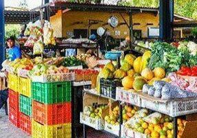 Fruits in the Shop